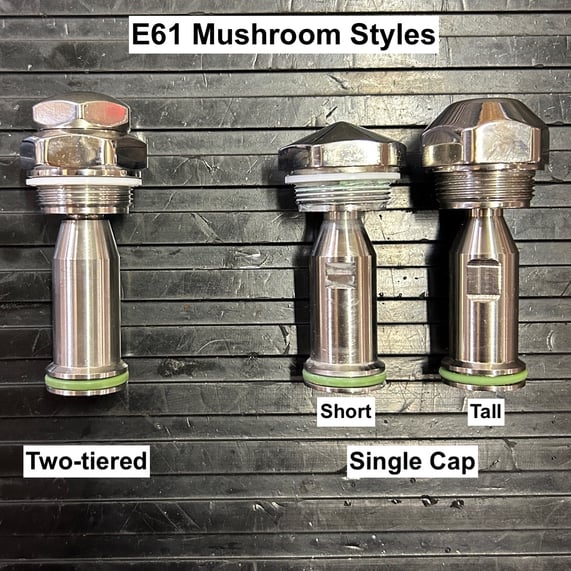 E61_mushroom_styles