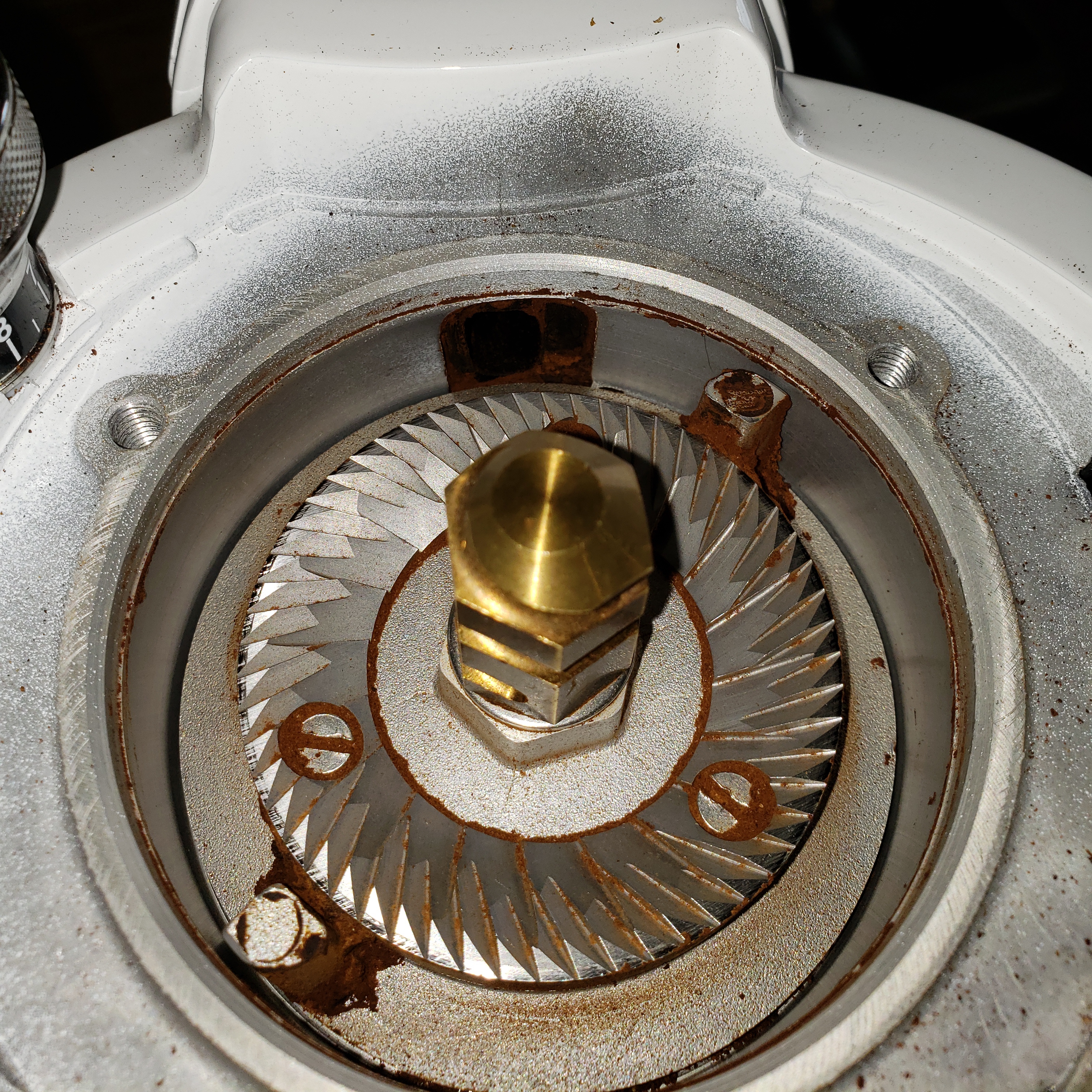 Eureka Zenith 65 and Olympus 75 Burr Chamber and Chute Cleaning