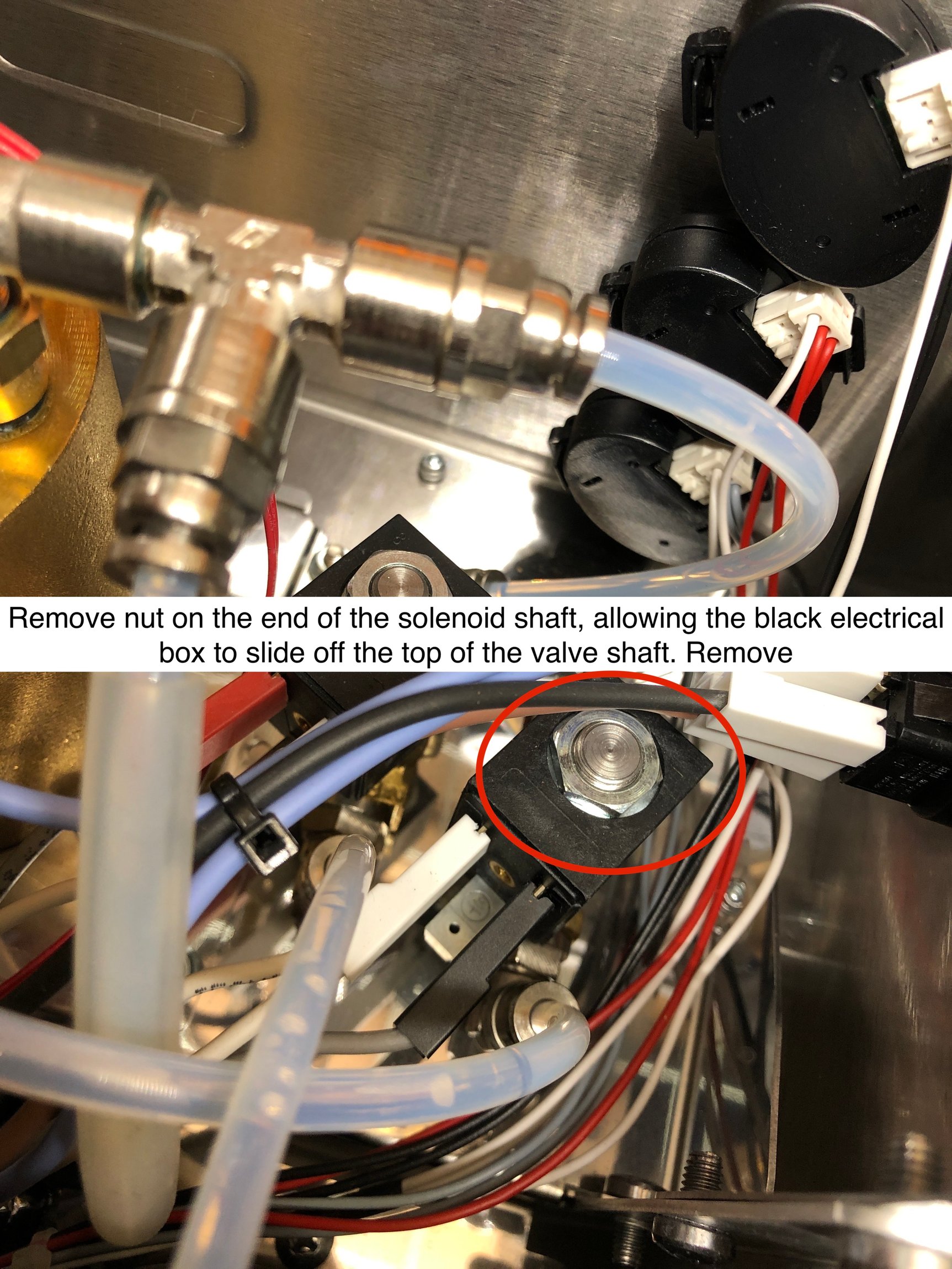 Lelit Elizabeth Hot Water Tap Solenoid Cleaning